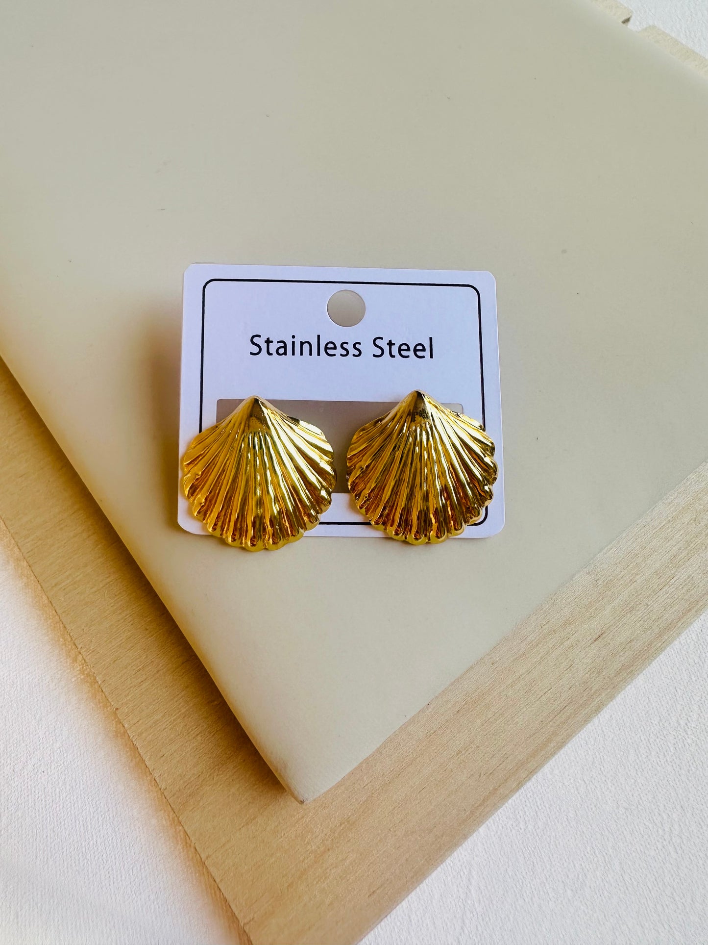 Stainless Steel Earrin