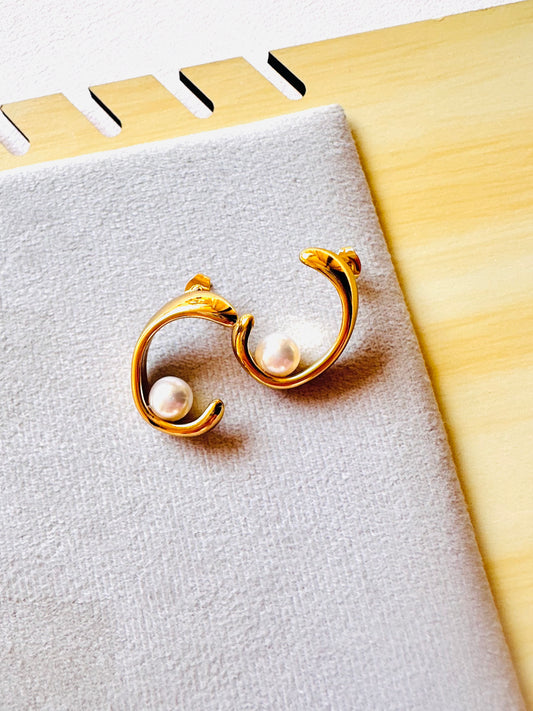 Stainless Steel Earrings