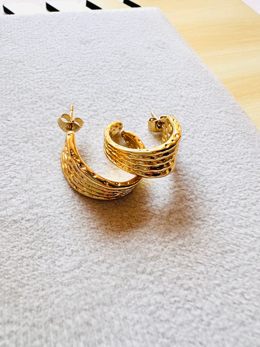 Stainless Steel Earrings