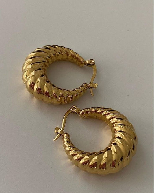 Croissant Shaped Earrings