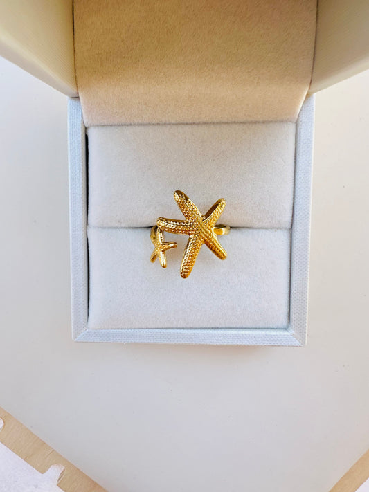 Star Ring stainless steel