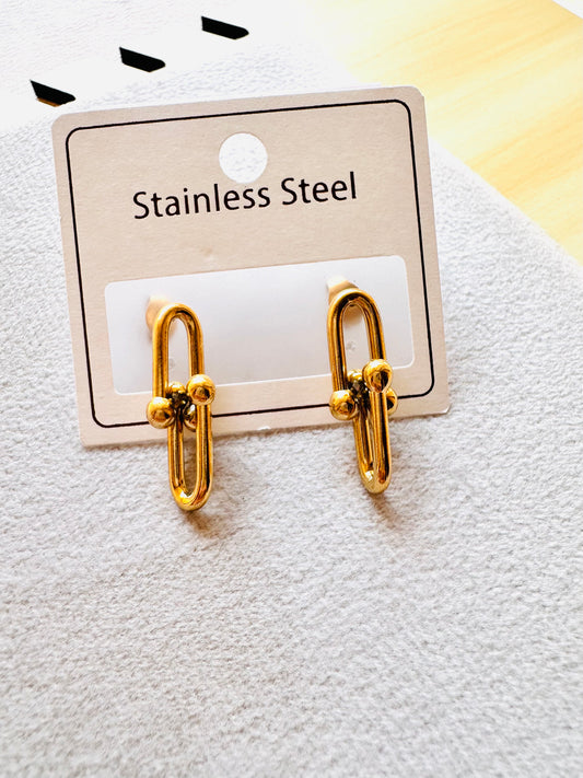 Stainless Steel Earrings