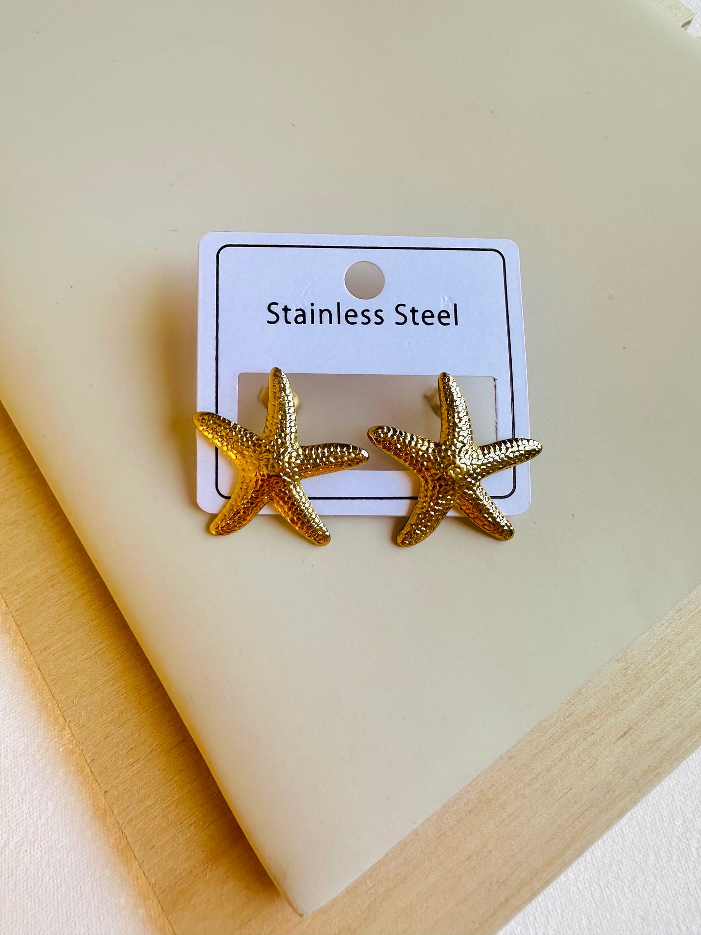 Stainless Steel Earring