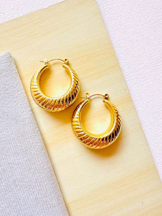 Stainless Steel Earrings